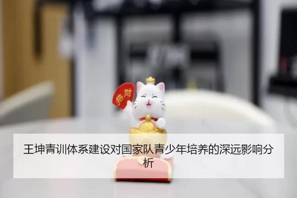 王坤青训体系建设对国家队青少年培养的深远影响分析