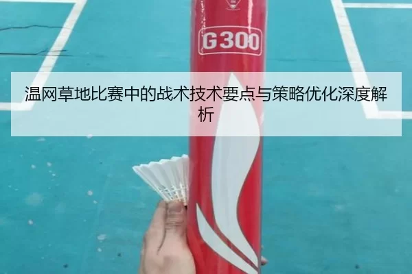 温网草地比赛中的战术技术要点与策略优化深度解析
