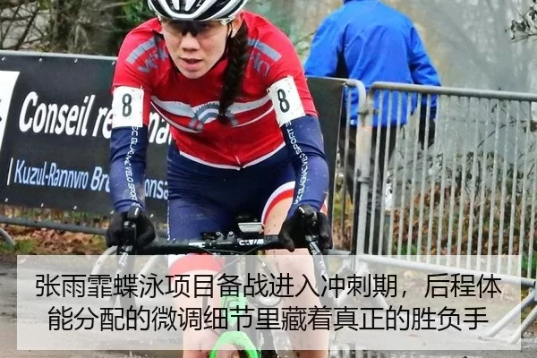 zhang-yu-fei-die-yong-xiang-mu-bei-zhan-jin-ru-chong-ci-qi-hou-cheng-ti-neng-fen-pei-de-wei-diao-xi-jie-li-cang-zhe-2-879.jpg